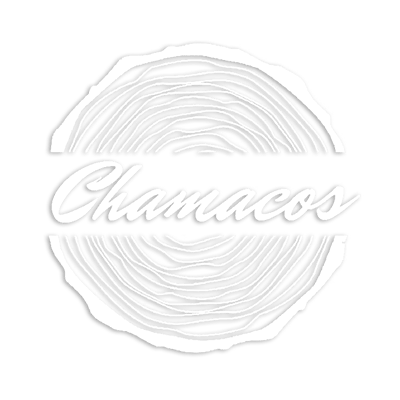 Chamacos Art Puerto Vallarta - Logotipo Slide-min